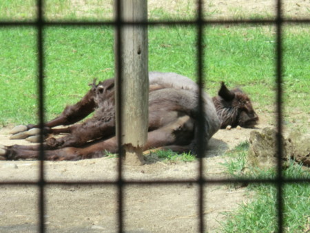 f:id:taron:20170811140614j:image