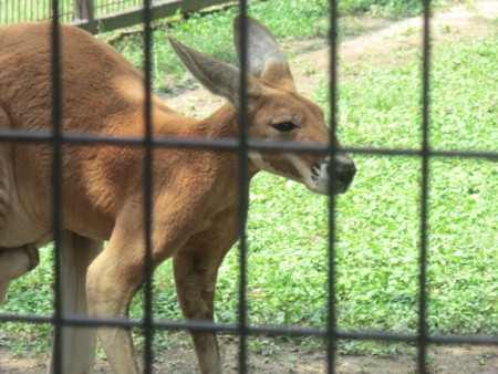 f:id:taron:20170811140643j:image