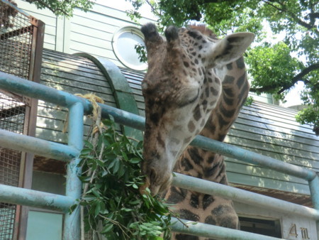 f:id:taron:20170811140810j:image