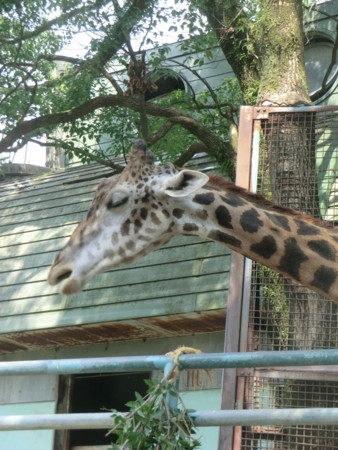 f:id:taron:20170811140943j:image