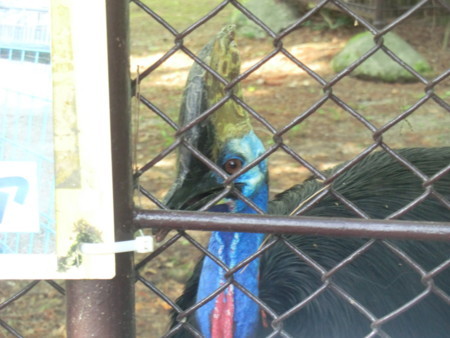 f:id:taron:20170811143042j:image