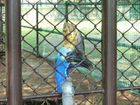 f:id:taron:20170811143638j:image