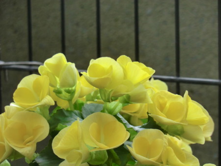 f:id:taron:20180120134912j:image
