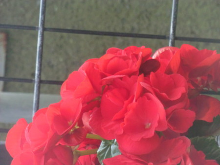 f:id:taron:20180120134949j:image