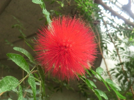 f:id:taron:20180120135433j:image