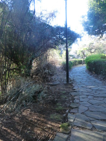 f:id:taron:20180127155938j:image