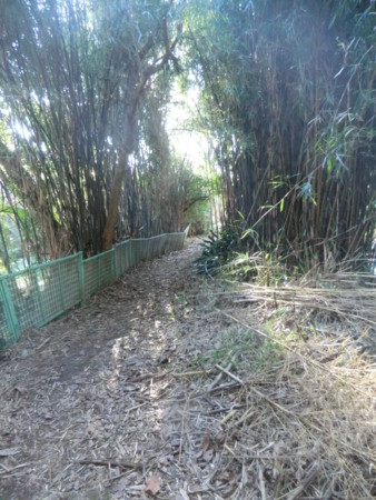 f:id:taron:20180127160007j:image