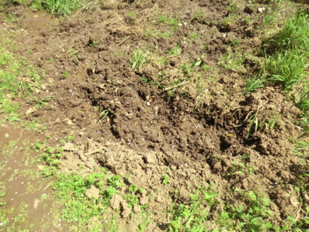 f:id:taron:20180328132202j:image