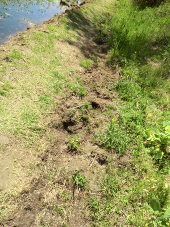 f:id:taron:20180328132908j:image