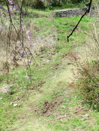 f:id:taron:20180328134540j:image