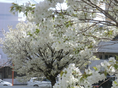 f:id:taron:20180330123946j:image