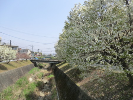 f:id:taron:20180330124658j:image