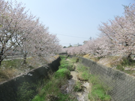 f:id:taron:20180330125015j:image