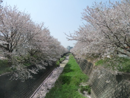 f:id:taron:20180330125210j:image