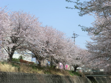 f:id:taron:20180330125530j:image