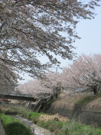 f:id:taron:20180330125549j:image