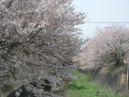 f:id:taron:20180330125902j:image