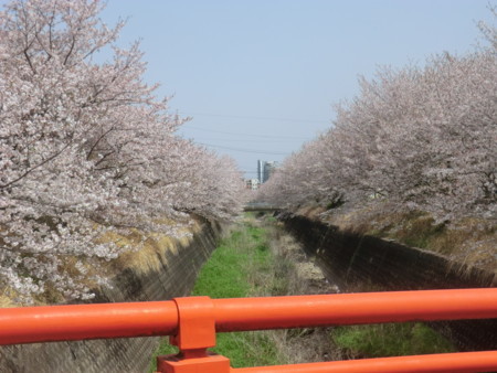 f:id:taron:20180330130103j:image