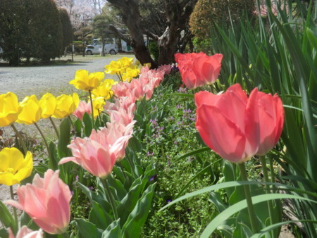 f:id:taron:20180330133930j:image