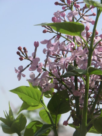 f:id:taron:20180330135012j:image