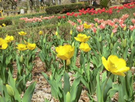 f:id:taron:20180330140141j:image