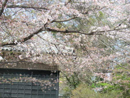 f:id:taron:20180330141544j:image