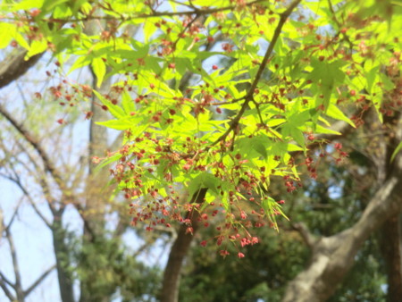 f:id:taron:20180330142253j:image