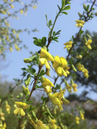 f:id:taron:20180330142545j:image