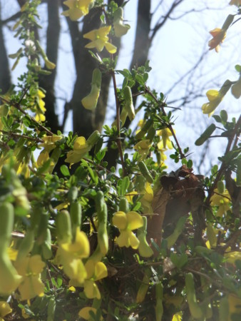 f:id:taron:20180330142620j:image