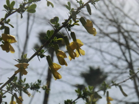 f:id:taron:20180330142650j:image