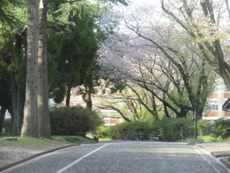 f:id:taron:20180330164221j:image