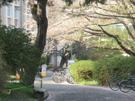 f:id:taron:20180330164308j:image