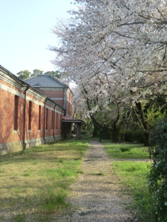 f:id:taron:20180330164431j:image