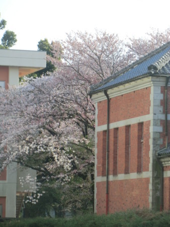 f:id:taron:20180330164525j:image