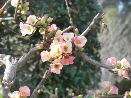 f:id:taron:20190226143503j:image f:id:taron:20190226143503j:image