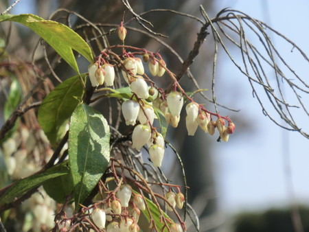f:id:taron:20190226144404j:image f:id:taron:20190226144404j:image