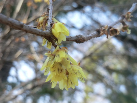 f:id:taron:20190226144655j:image f:id:taron:20190226144655j:image