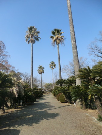 f:id:taron:20190226150752j:image f:id:taron:20190226150752j:image