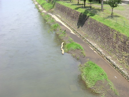 f:id:taron:20190715125636j:image