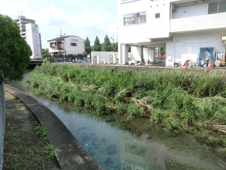 f:id:taron:20190715145220j:image