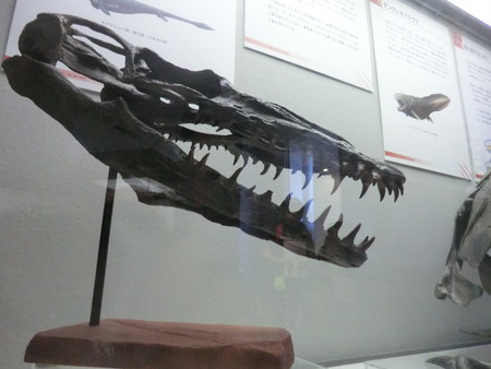 f:id:taron:20190914133539j:image f:id:taron:20190914133539j:image