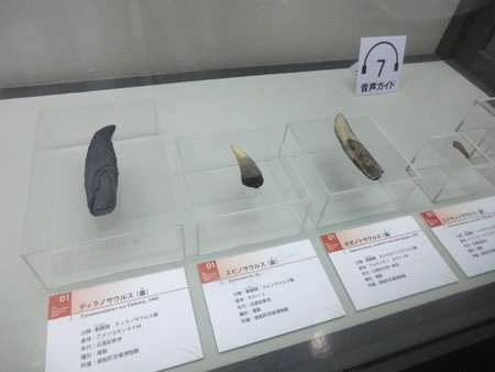 f:id:taron:20190914133826j:image f:id:taron:20190914133826j:image