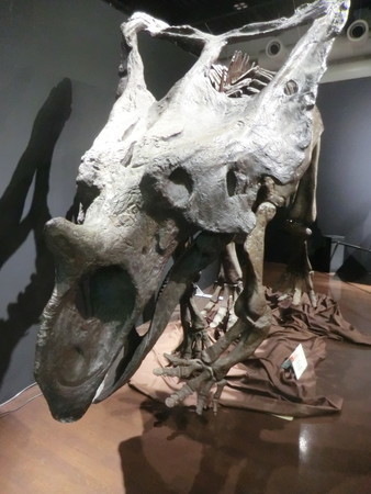 f:id:taron:20190914133912j:image f:id:taron:20190914133912j:image