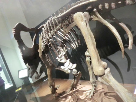 f:id:taron:20190914133932j:image f:id:taron:20190914133932j:image