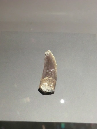 f:id:taron:20190914134507j:image f:id:taron:20190914134507j:image