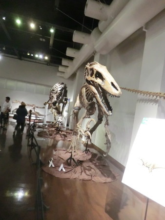 f:id:taron:20190914134525j:image f:id:taron:20190914134525j:image