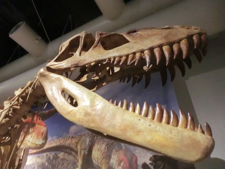 f:id:taron:20190914134546j:image f:id:taron:20190914134546j:image