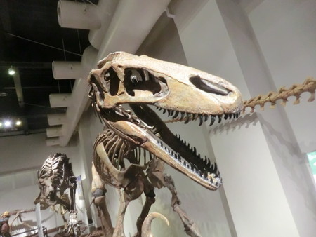 f:id:taron:20190914134628j:image f:id:taron:20190914134628j:image