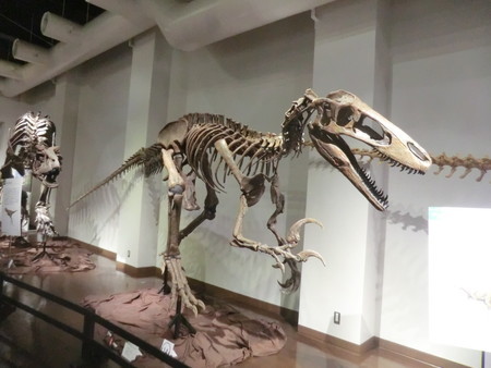 f:id:taron:20190914134634j:image f:id:taron:20190914134634j:image