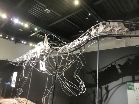 f:id:taron:20190914134659j:image f:id:taron:20190914134659j:image